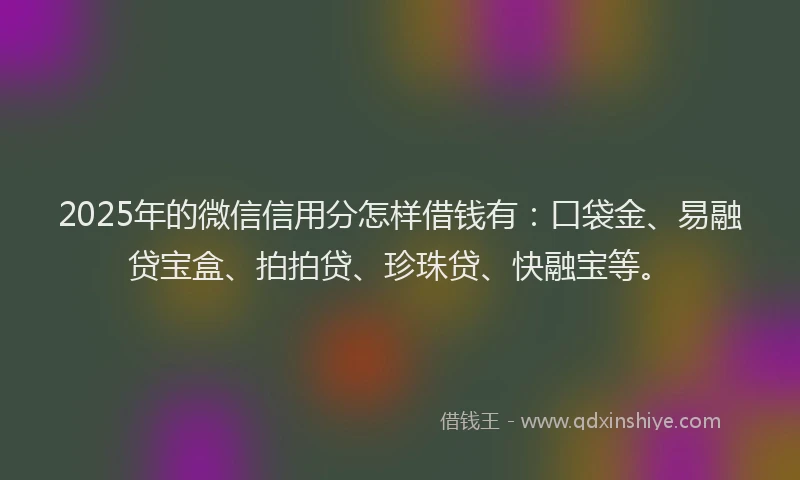 2025年的微信信用分怎样借钱有：口袋金、易融贷宝盒、拍拍贷、珍珠贷、快融宝等。