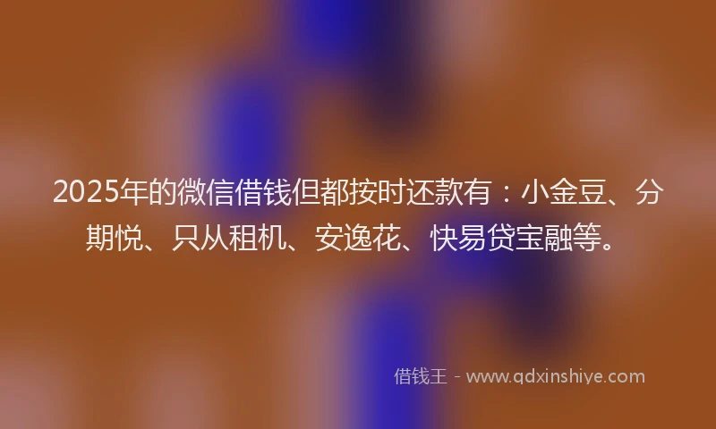 2025年的微信借钱但都按时还款有：小金豆、分期悦、只从租机、安逸花、快易贷宝融等。