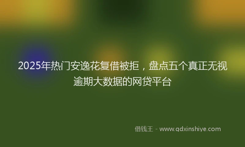 2025年热门安逸花复借被拒，盘点五个真正无视逾期大数据的网贷平台