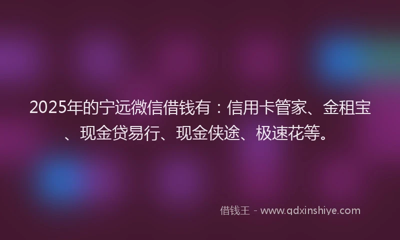 2025年的宁远微信借钱有：信用卡管家、金租宝、现金贷易行、现金侠途、极速花等。