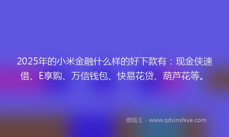 2025年的小米金融什么样的好下款有：现金侠速借、E享购、万信钱包、快易花贷、葫芦花等。