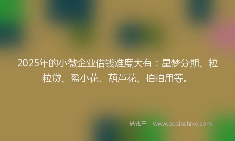 2025年的小微企业借钱难度大有：星梦分期、粒粒贷、盈小花、葫芦花、拍拍用等。