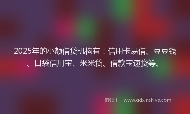 2025年的小额借贷机构有：信用卡易借、豆豆钱、口袋信用宝、米米贷、借款宝速贷等。