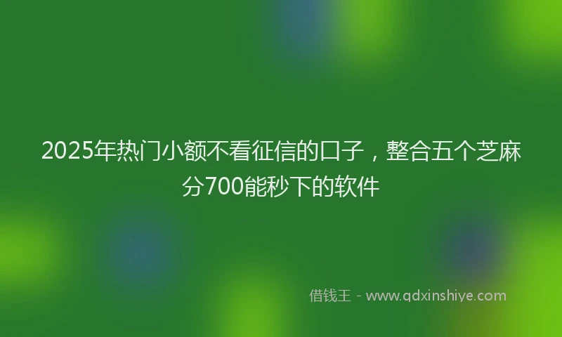 2025年热门小额不看征信的口子，整合五个芝麻分700能秒下的软件