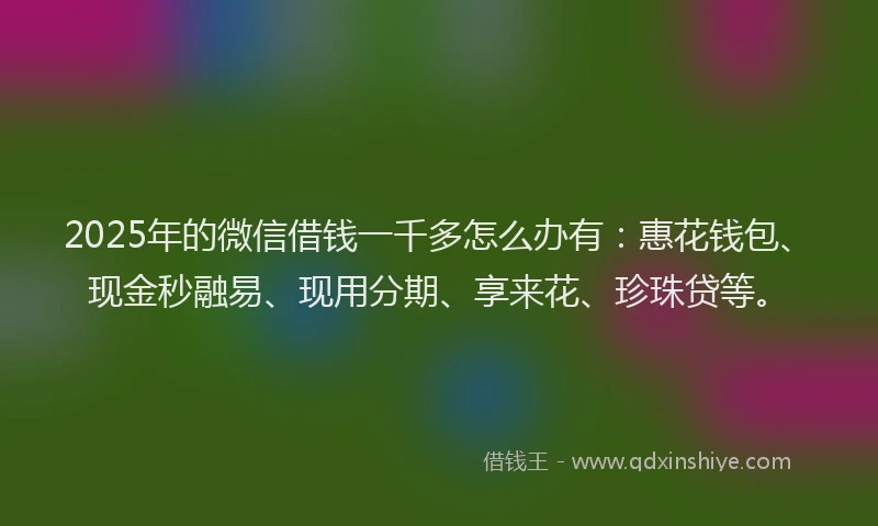 2025年的微信借钱一千多怎么办有：惠花钱包、现金秒融易、现用分期、享来花、珍珠贷等。