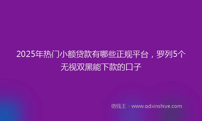 2025年热门小额贷款有哪些正规平台，罗列5个无视双黑能下款的口子
