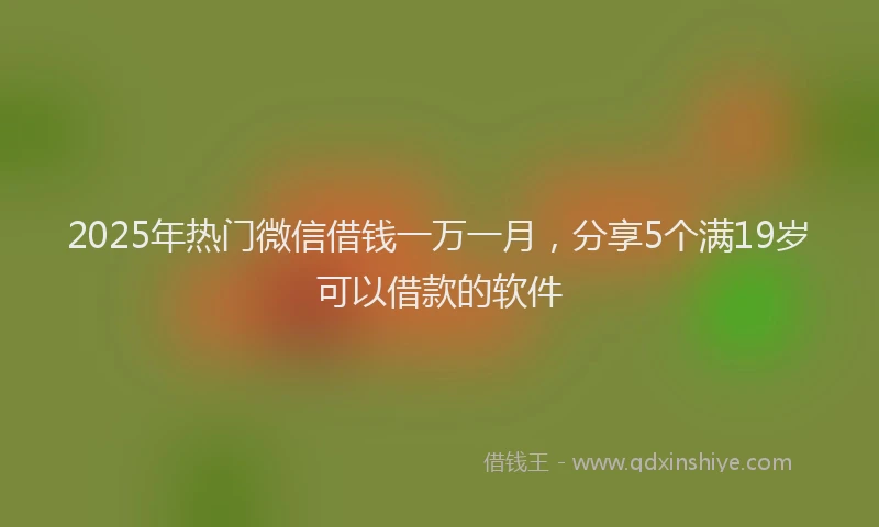 2025年热门微信借钱一万一月，分享5个满19岁可以借款的软件