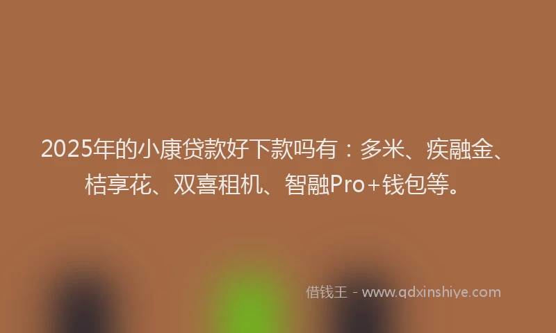 2025年的小康贷款好下款吗有：多米、疾融金、桔享花、双喜租机、智融Pro+钱包等。
