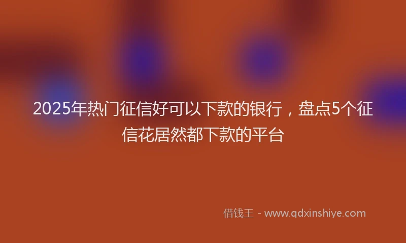 2025年热门征信好可以下款的银行，盘点5个征信花居然都下款的平台