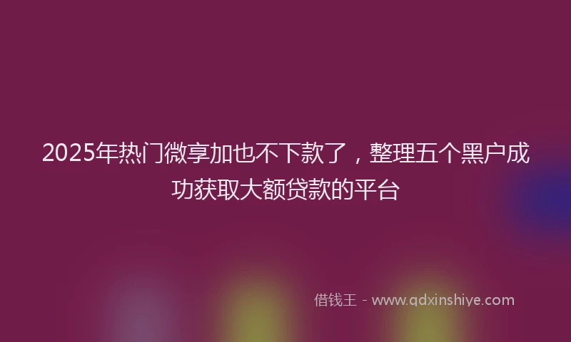 2025年热门微享加也不下款了，整理五个黑户成功获取大额贷款的平台