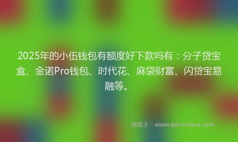 2025年的小伍钱包有额度好下款吗有：分子贷宝盒、金诺Pro钱包、时代花、麻袋财富、闪贷宝易融等。