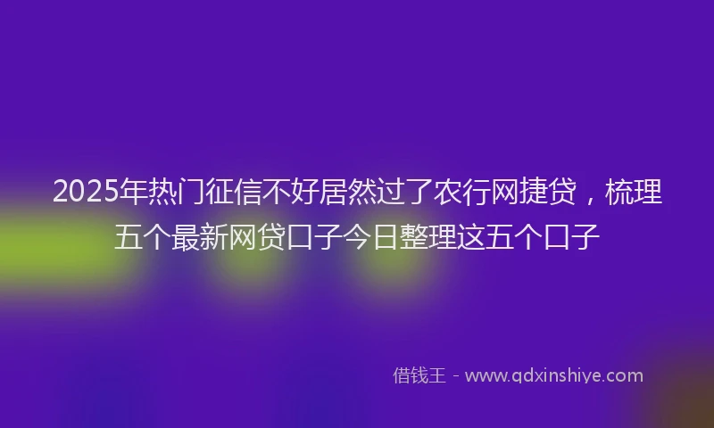 2025年热门征信不好居然过了农行网捷贷，梳理五个最新网贷口子今日整理这五个口子
