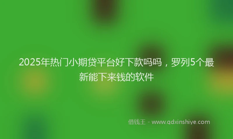 2025年热门小期贷平台好下款吗吗，罗列5个最新能下来钱的软件