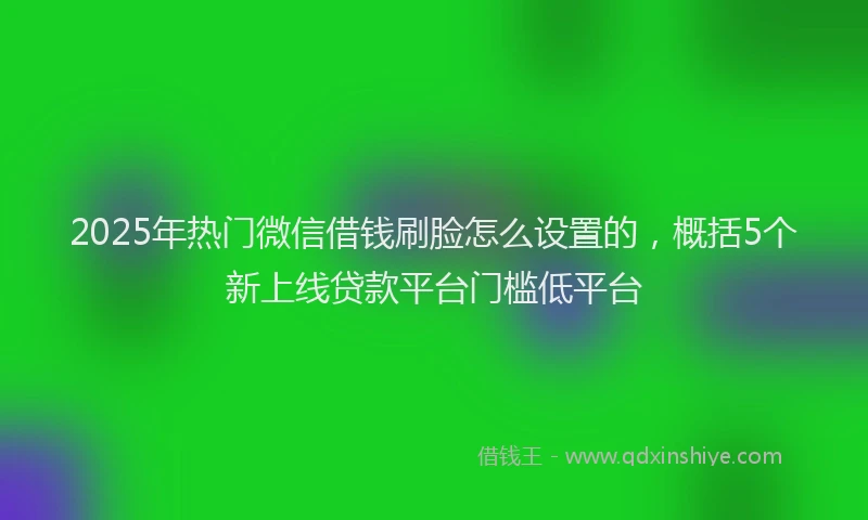 2025年热门微信借钱刷脸怎么设置的，概括5个新上线贷款平台门槛低平台