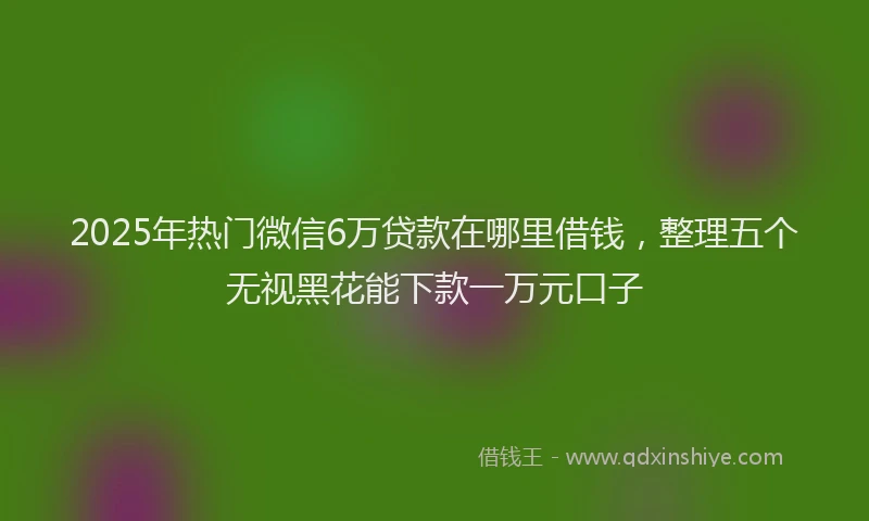 2025年热门微信6万贷款在哪里借钱，整理五个无视黑花能下款一万元口子