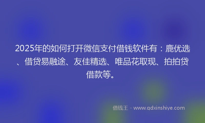 2025年的如何打开微信支付借钱软件有：鹿优选、借贷易融途、友佳精选、唯品花取现、拍拍贷借款等。
