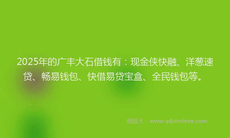 2025年的广丰大石借钱有：现金侠快融、洋葱速贷、畅易钱包、快借易贷宝盒、全民钱包等。