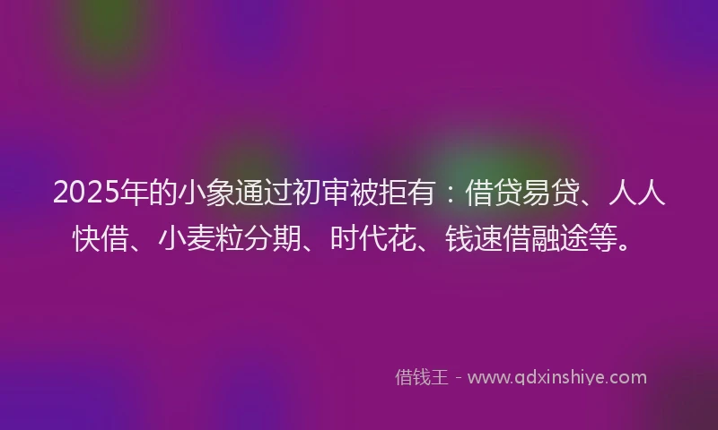 2025年的小象通过初审被拒有：借贷易贷、人人快借、小麦粒分期、时代花、钱速借融途等。