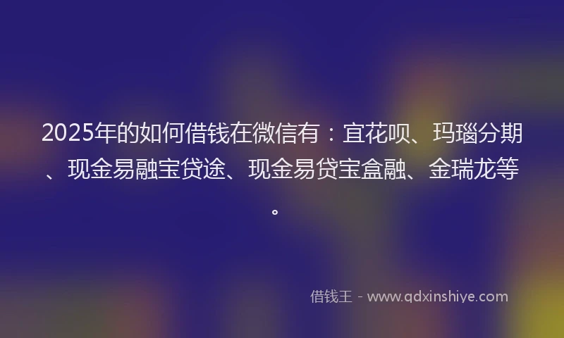 2025年的如何借钱在微信有：宜花呗、玛瑙分期、现金易融宝贷途、现金易贷宝盒融、金瑞龙等。