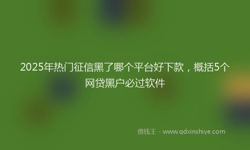 2025年热门征信黑了哪个平台好下款，概括5个网贷黑户必过软件