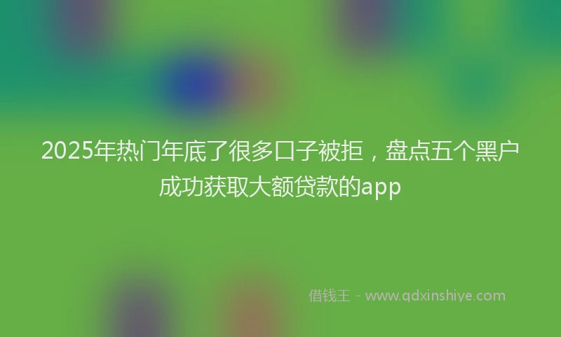 2025年热门年底了很多口子被拒，盘点五个黑户成功获取大额贷款的app