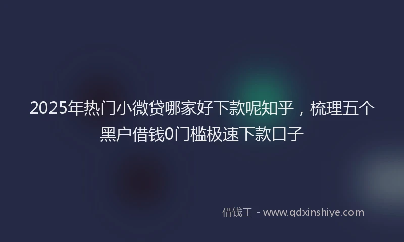 2025年热门小微贷哪家好下款呢知乎，梳理五个黑户借钱0门槛极速下款口子