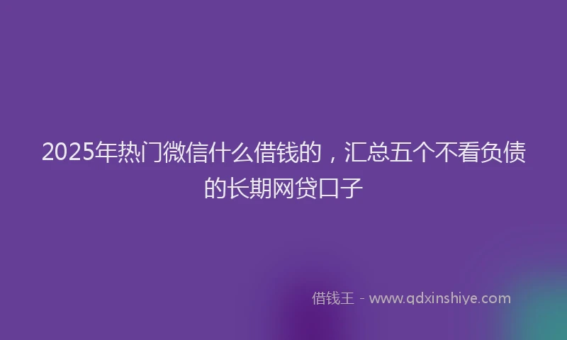 2025年热门微信什么借钱的，汇总五个不看负债的长期网贷口子