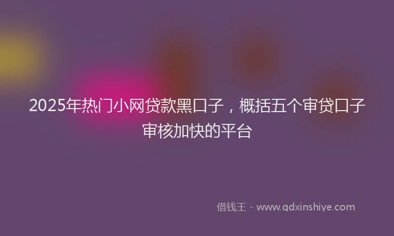 2025年热门小网贷款黑口子，概括五个审贷口子审核加快的平台