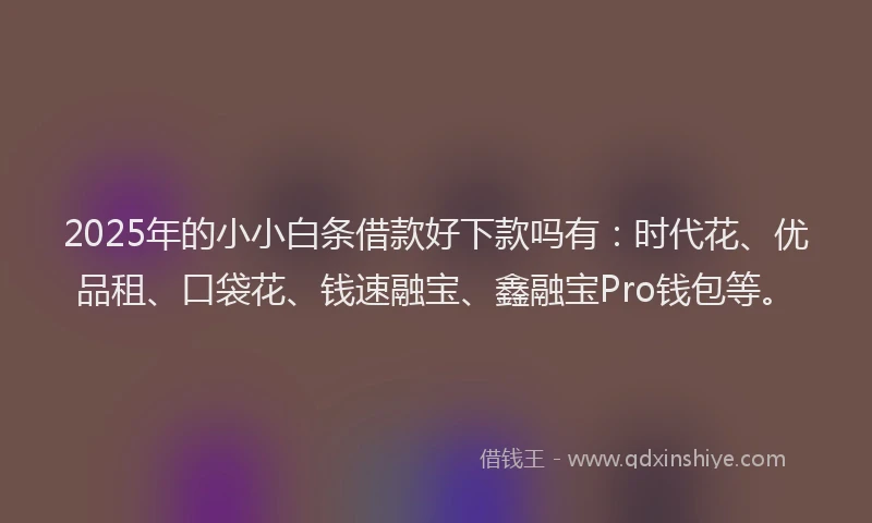 2025年的小小白条借款好下款吗有：时代花、优品租、口袋花、钱速融宝、鑫融宝Pro钱包等。