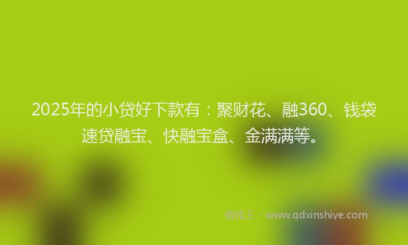 2025年的小贷好下款有：聚财花、融360、钱袋速贷融宝、快融宝盒、金满满等。