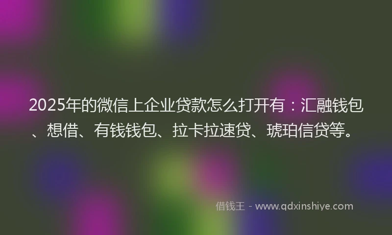 2025年的微信上企业贷款怎么打开有：汇融钱包、想借、有钱钱包、拉卡拉速贷、琥珀信贷等。