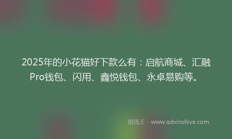 2025年的小花猫好下款么有：启航商城、汇融Pro钱包、闪用、鑫悦钱包、永卓易购等。