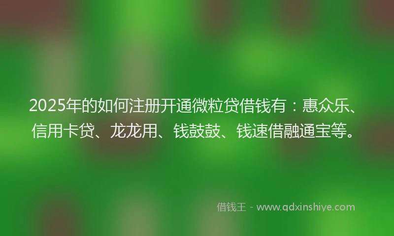 2025年的如何注册开通微粒贷借钱有：惠众乐、信用卡贷、龙龙用、钱鼓鼓、钱速借融通宝等。