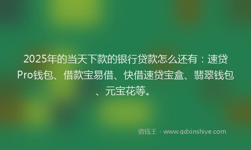 2025年的当天下款的银行贷款怎么还有：速贷Pro钱包、借款宝易借、快借速贷宝盒、翡翠钱包、元宝花等。