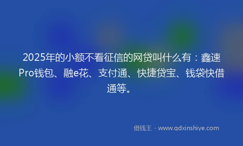 2025年的小额不看征信的网贷叫什么有：鑫速Pro钱包、融e花、支付通、快捷贷宝、钱袋快借通等。