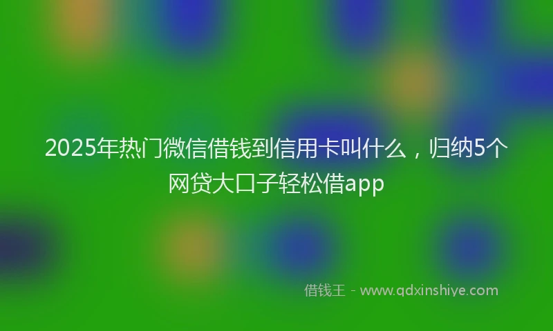 2025年热门微信借钱到信用卡叫什么，归纳5个网贷大口子轻松借app