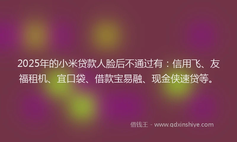 2025年的小米贷款人脸后不通过有：信用飞、友福租机、宜口袋、借款宝易融、现金侠速贷等。