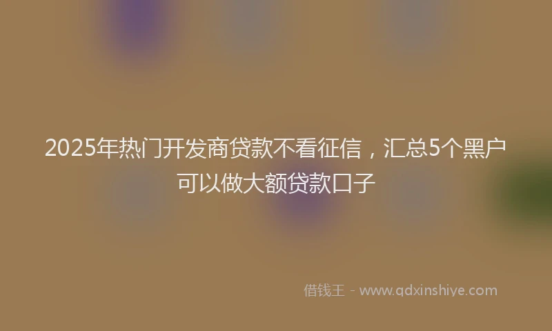 2025年热门开发商贷款不看征信，汇总5个黑户可以做大额贷款口子