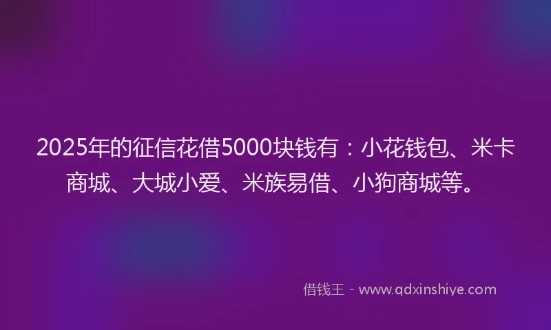 2025年的征信花借5000块钱有：小花钱包、米卡商城、大城小爱、米族易借、小狗商城等。