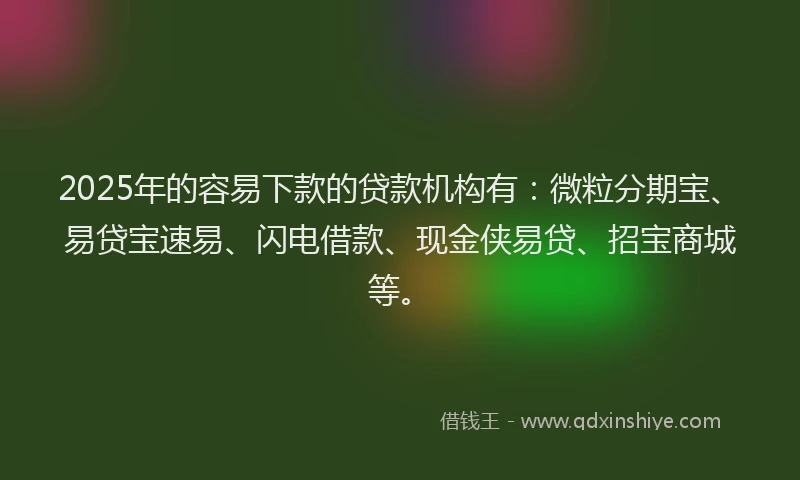2025年的容易下款的贷款机构有：微粒分期宝、易贷宝速易、闪电借款、现金侠易贷、招宝商城等。