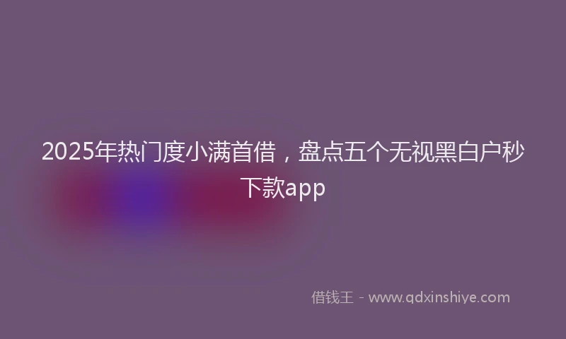 2025年热门度小满首借，盘点五个无视黑白户秒下款app
