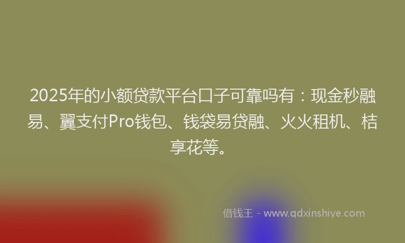 2025年的小额贷款平台口子可靠吗有：现金秒融易、翼支付Pro钱包、钱袋易贷融、火火租机、桔享花等。