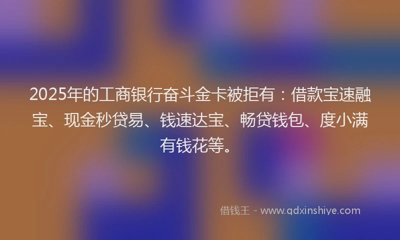 2025年的工商银行奋斗金卡被拒有：借款宝速融宝、现金秒贷易、钱速达宝、畅贷钱包、度小满有钱花等。