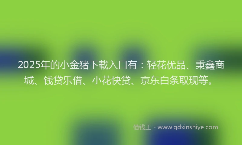 2025年的小金猪下载入口有：轻花优品、秉鑫商城、钱贷乐借、小花快贷、京东白条取现等。