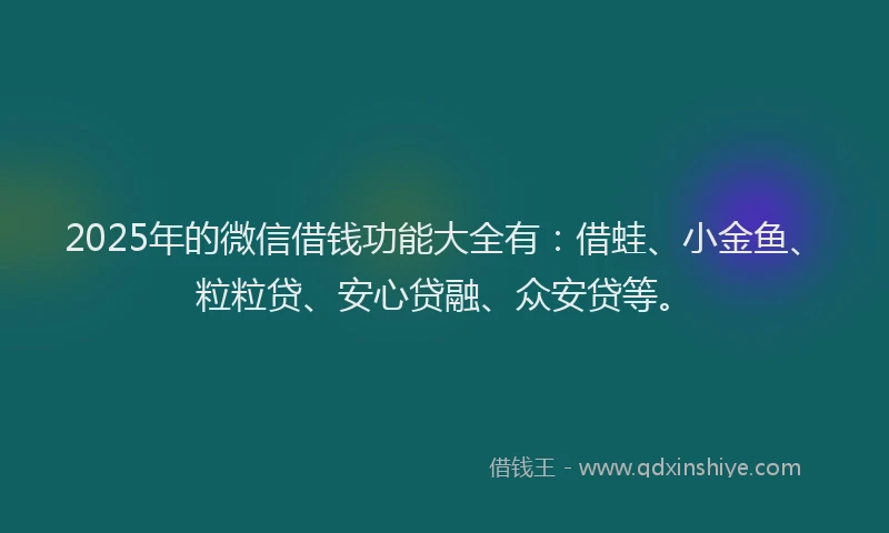 2025年的微信借钱功能大全有：借蛙、小金鱼、粒粒贷、安心贷融、众安贷等。