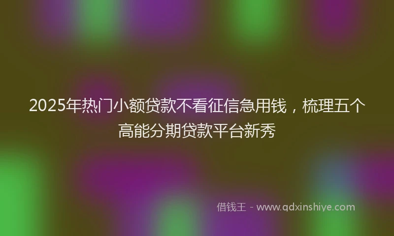 2025年热门小额贷款不看征信急用钱，梳理五个高能分期贷款平台新秀