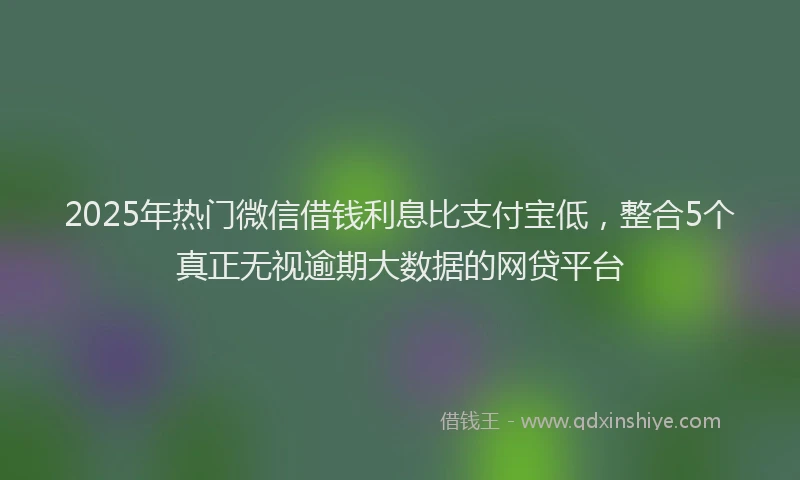 2025年热门微信借钱利息比支付宝低，整合5个真正无视逾期大数据的网贷平台
