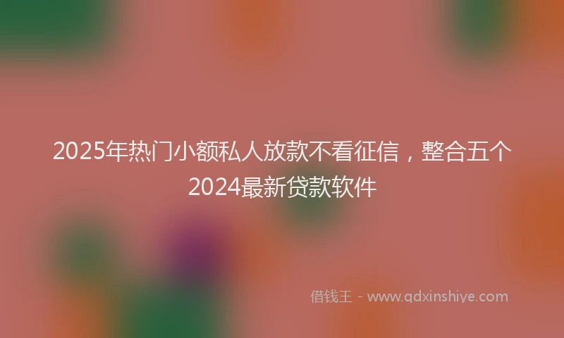 2025年热门小额私人放款不看征信，整合五个2024最新贷款软件