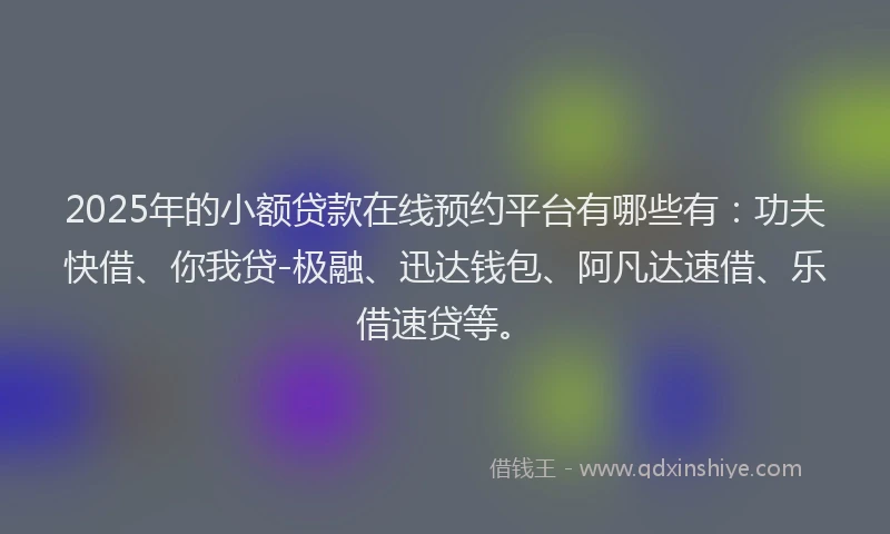 2025年的小额贷款在线预约平台有哪些有：功夫快借、你我贷-极融、迅达钱包、阿凡达速借、乐借速贷等。
