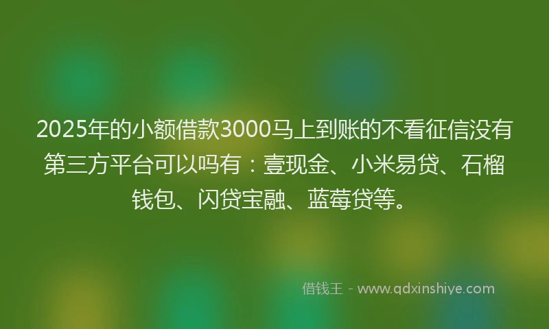 2025年的小额借款3000马上到账的不看征信没有第三方平台可以吗有：壹现金、小米易贷、石榴钱包、闪贷宝融、蓝莓贷等。